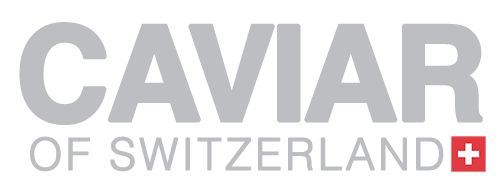 Digital Asset Management